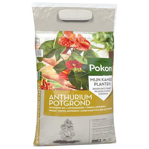 Pokon Anthurium Potgrond